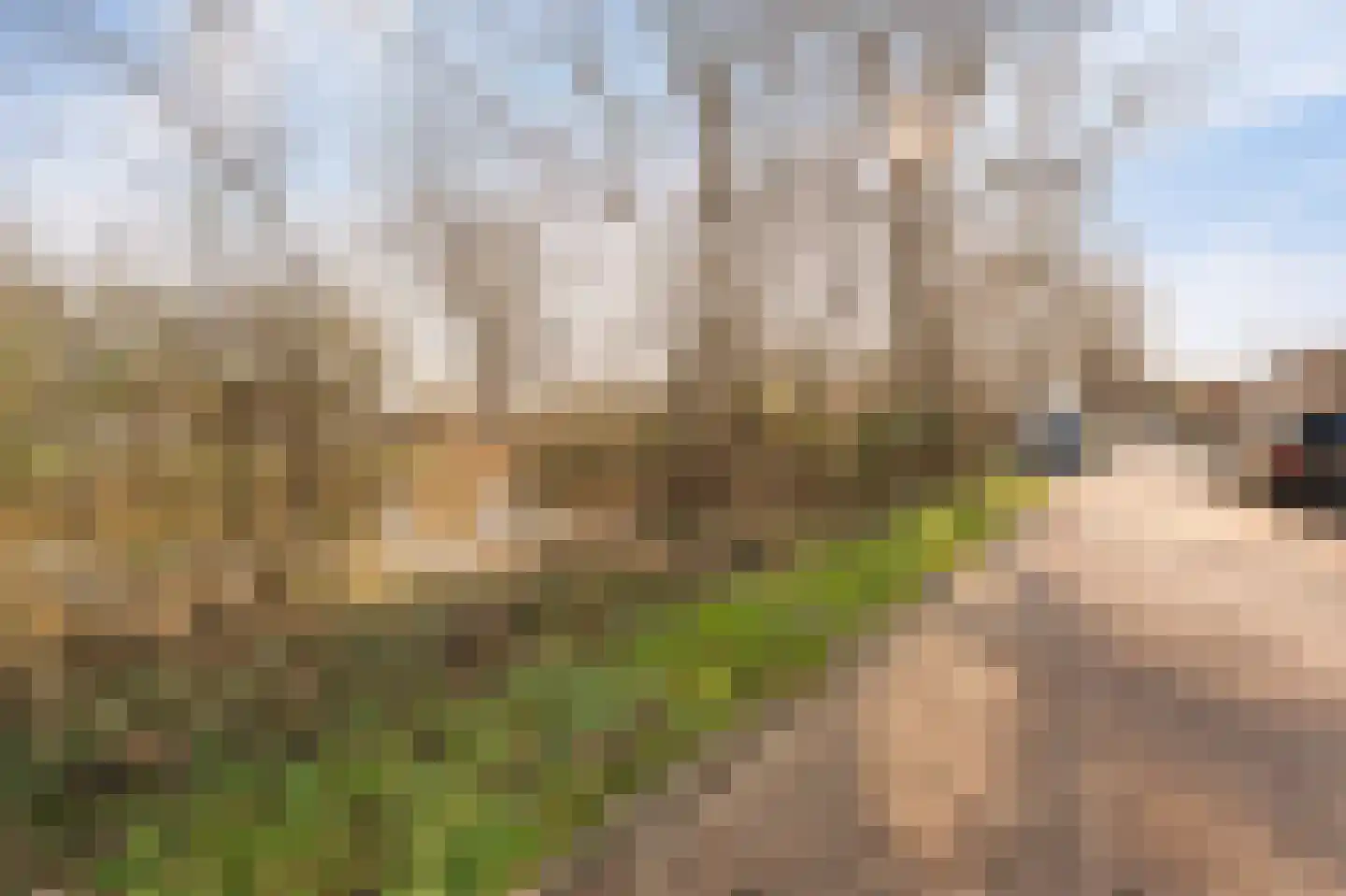 Donaustraat 19 Emmeloord thumbnail 9