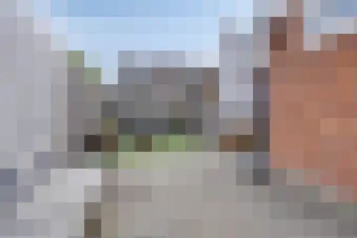 Donaustraat 42 Emmeloord thumbnail 33