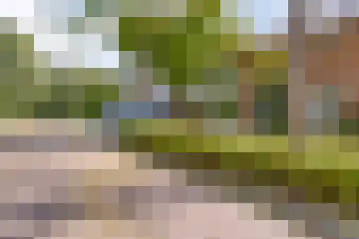 Donaustraat 42 Emmeloord thumbnail 37