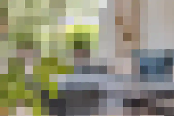 Donaustraat 42 Emmeloord thumbnail 8
