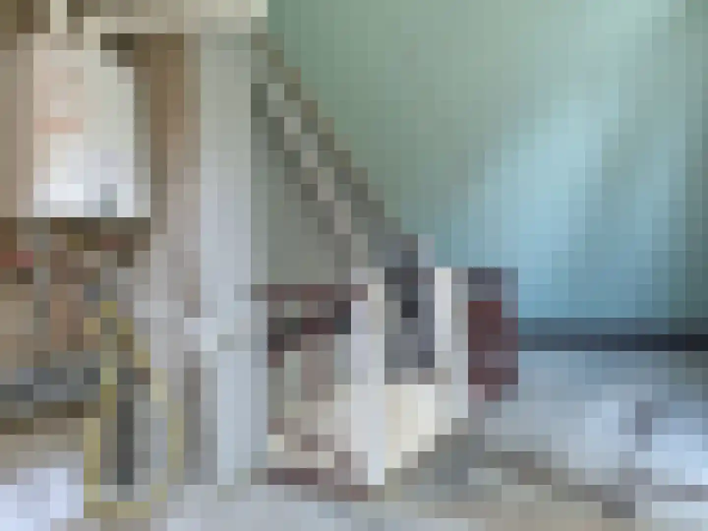 Donaustraat 62 Assen thumbnail 13