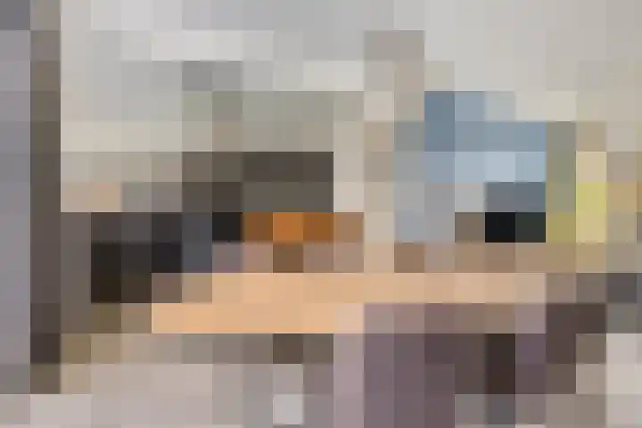 Donaustraat 8 Assen thumbnail 9