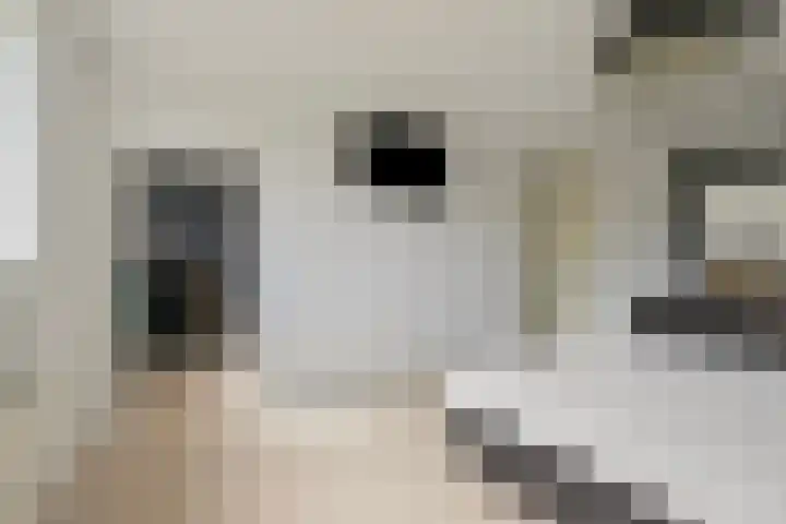 Doncanstraat 11 Purmerend thumbnail 25