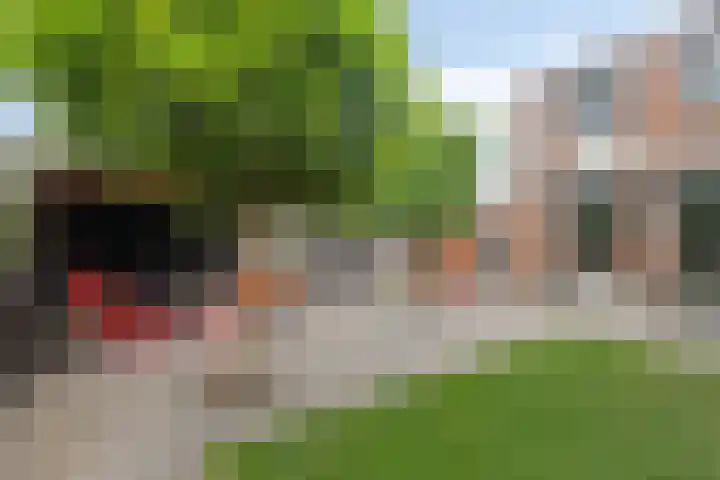 Doncanstraat 11 Purmerend thumbnail 5