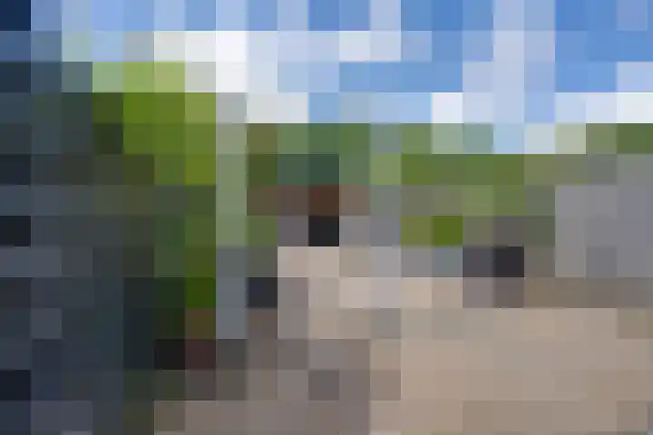 Doncanstraat 32 Purmerend thumbnail 29
