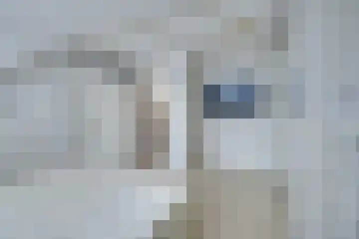 Doncanstraat 32 Purmerend thumbnail 36