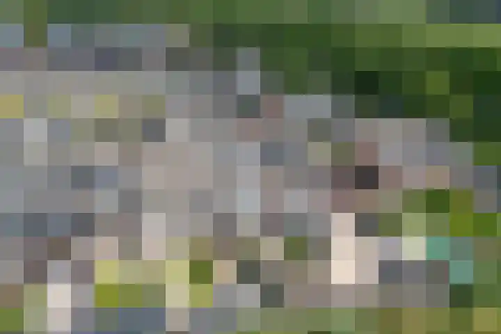 Doncanstraat 32 Purmerend thumbnail 7