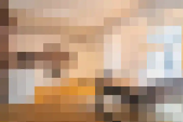 Donckermannstraat 4 Tubbergen thumbnail 12