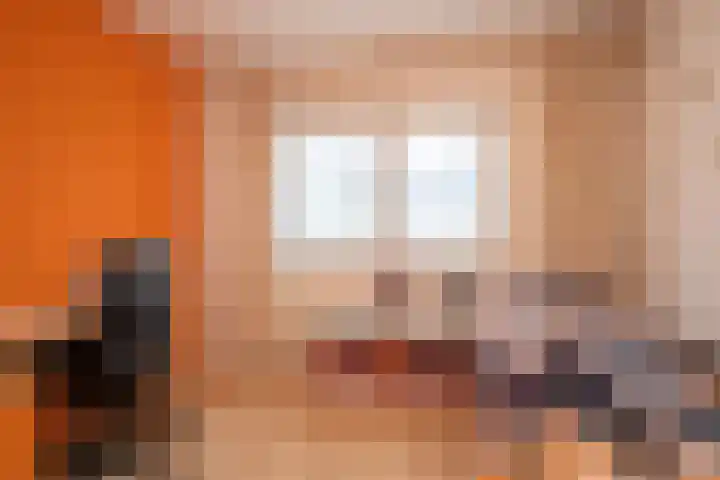 Donckermannstraat 4 Tubbergen thumbnail 20