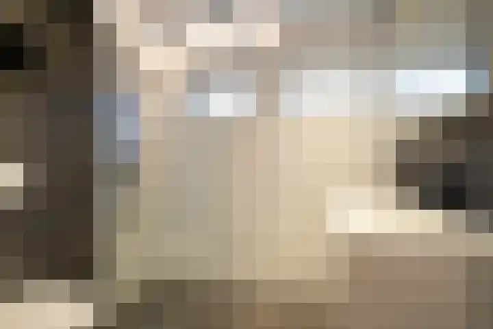 Donckermannstraat 4 Tubbergen thumbnail 24