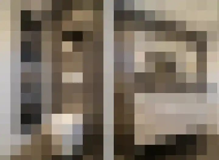 Donckermannstraat 4 Tubbergen thumbnail 25