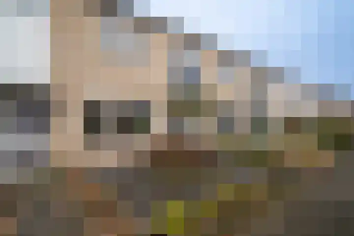 Donckermannstraat 4 Tubbergen thumbnail 34