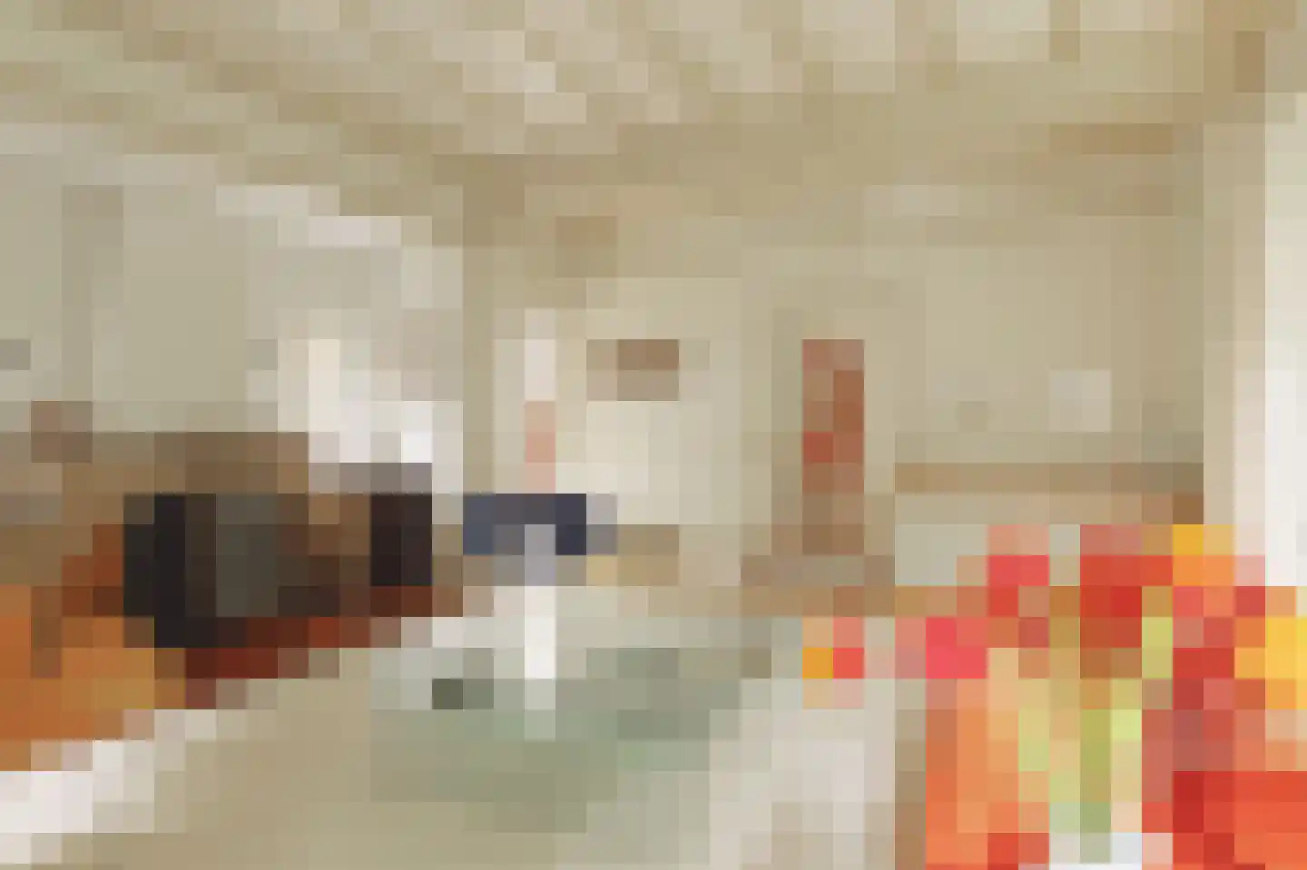 Donckselaan 4 Ridderkerk thumbnail 10
