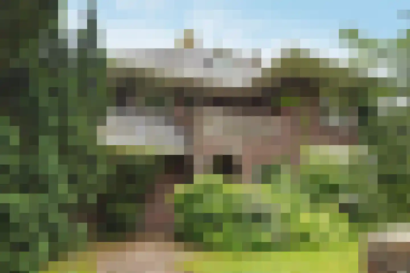 Donckselaan 4 Ridderkerk foto 2
