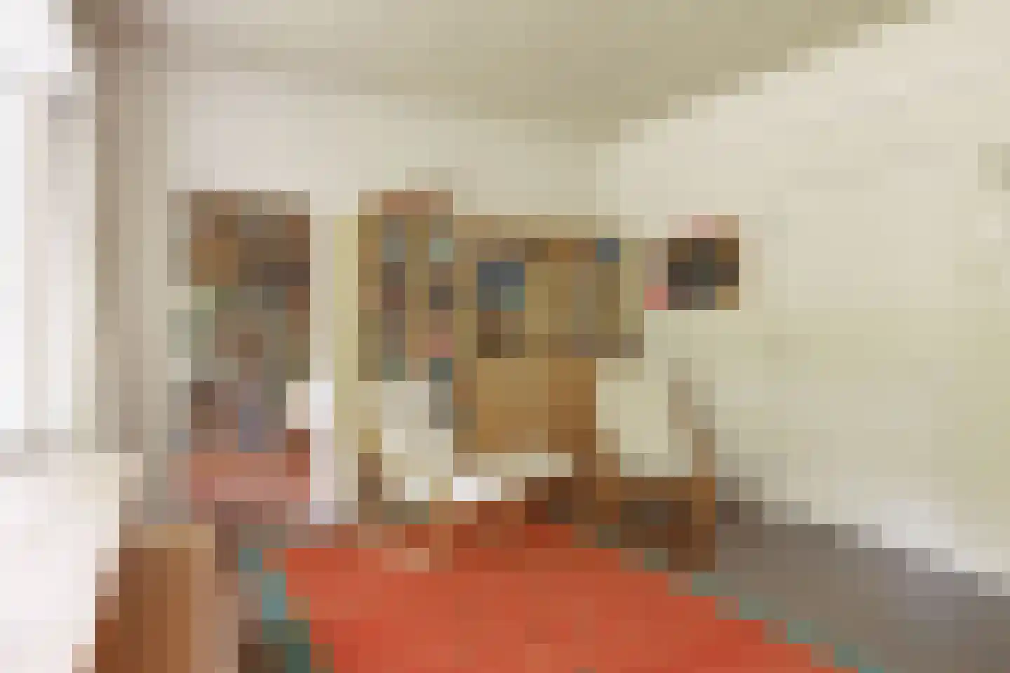 Donckselaan 4 Ridderkerk thumbnail 23