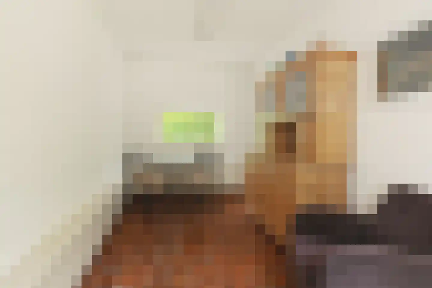 Donckselaan 4 Ridderkerk thumbnail 25