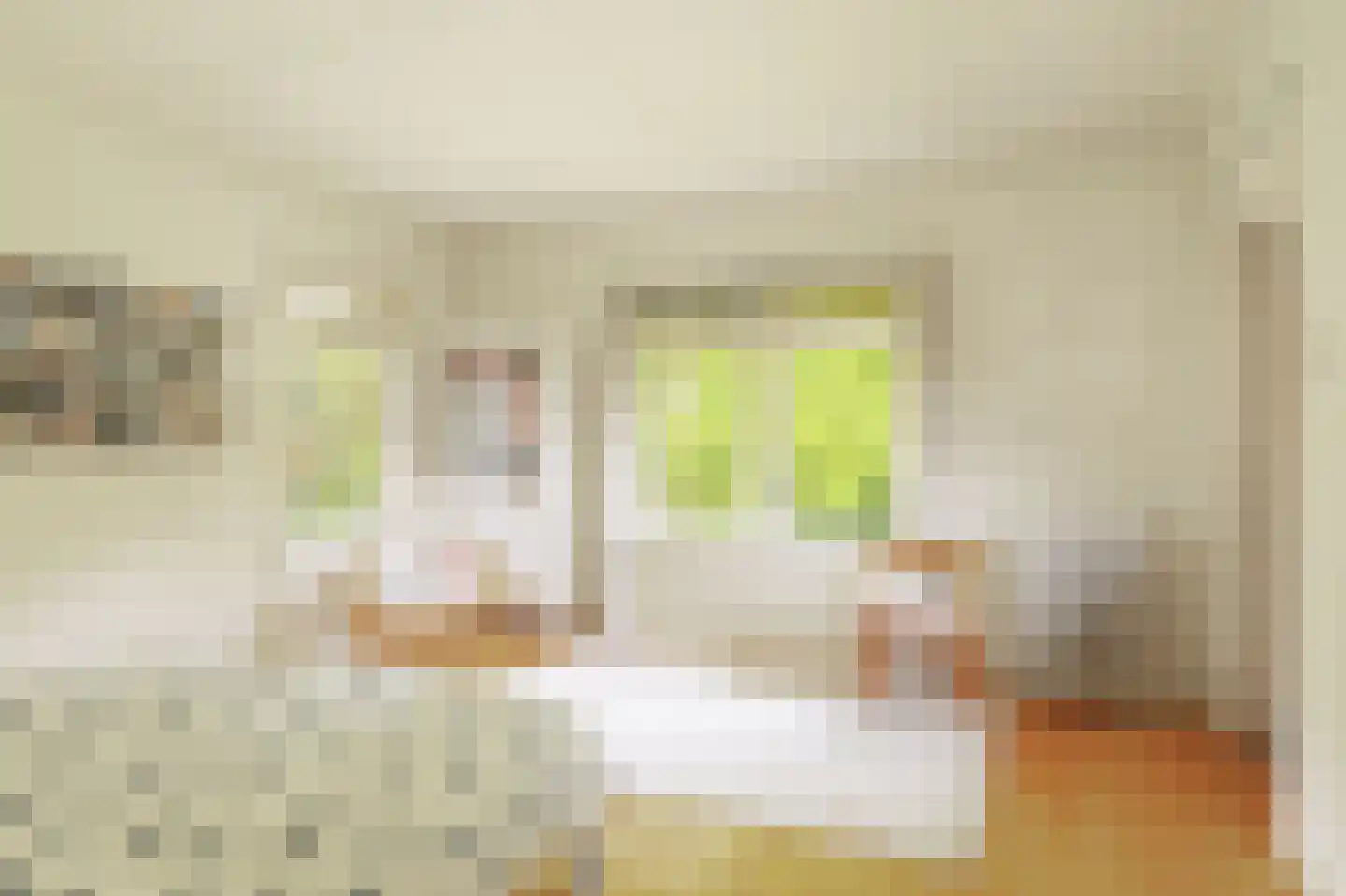 Donckselaan 4 Ridderkerk thumbnail 29