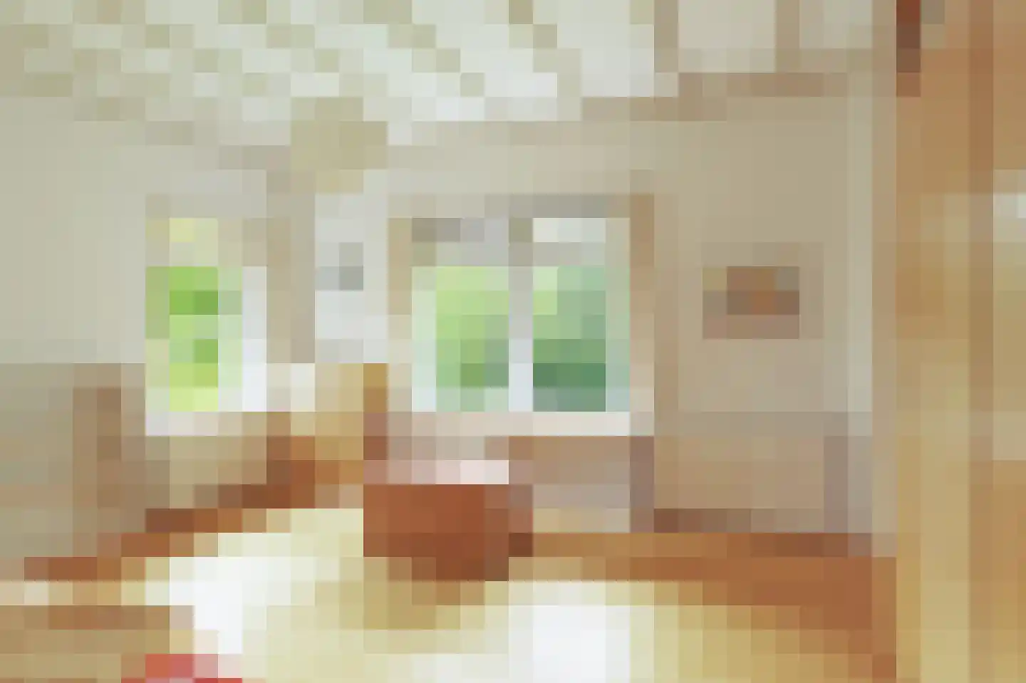 Donckselaan 4 Ridderkerk thumbnail 32