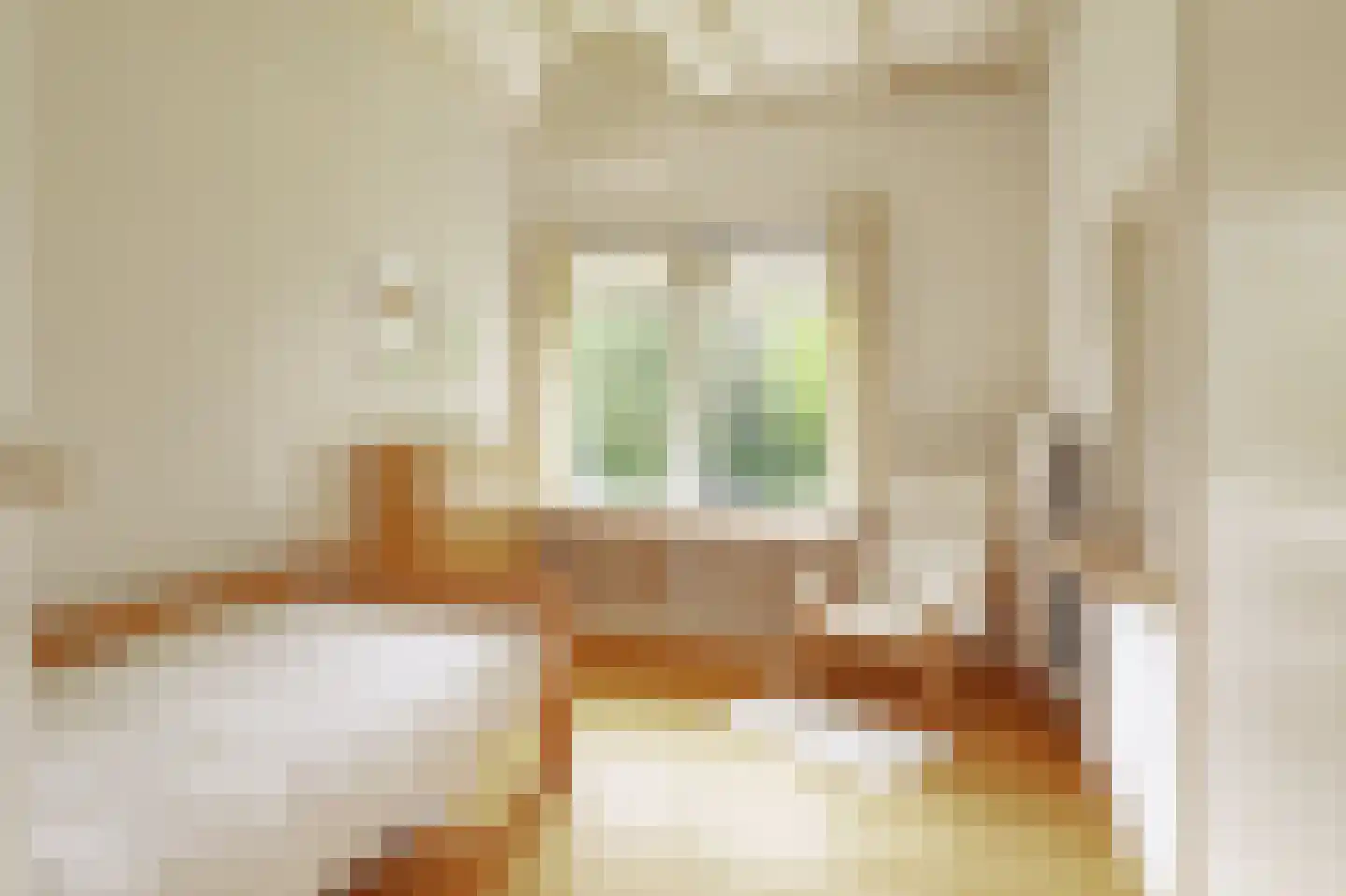 Donckselaan 4 Ridderkerk thumbnail 35