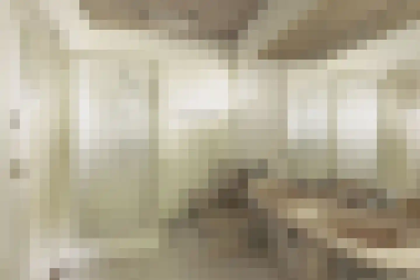 Donckselaan 4 Ridderkerk thumbnail 39