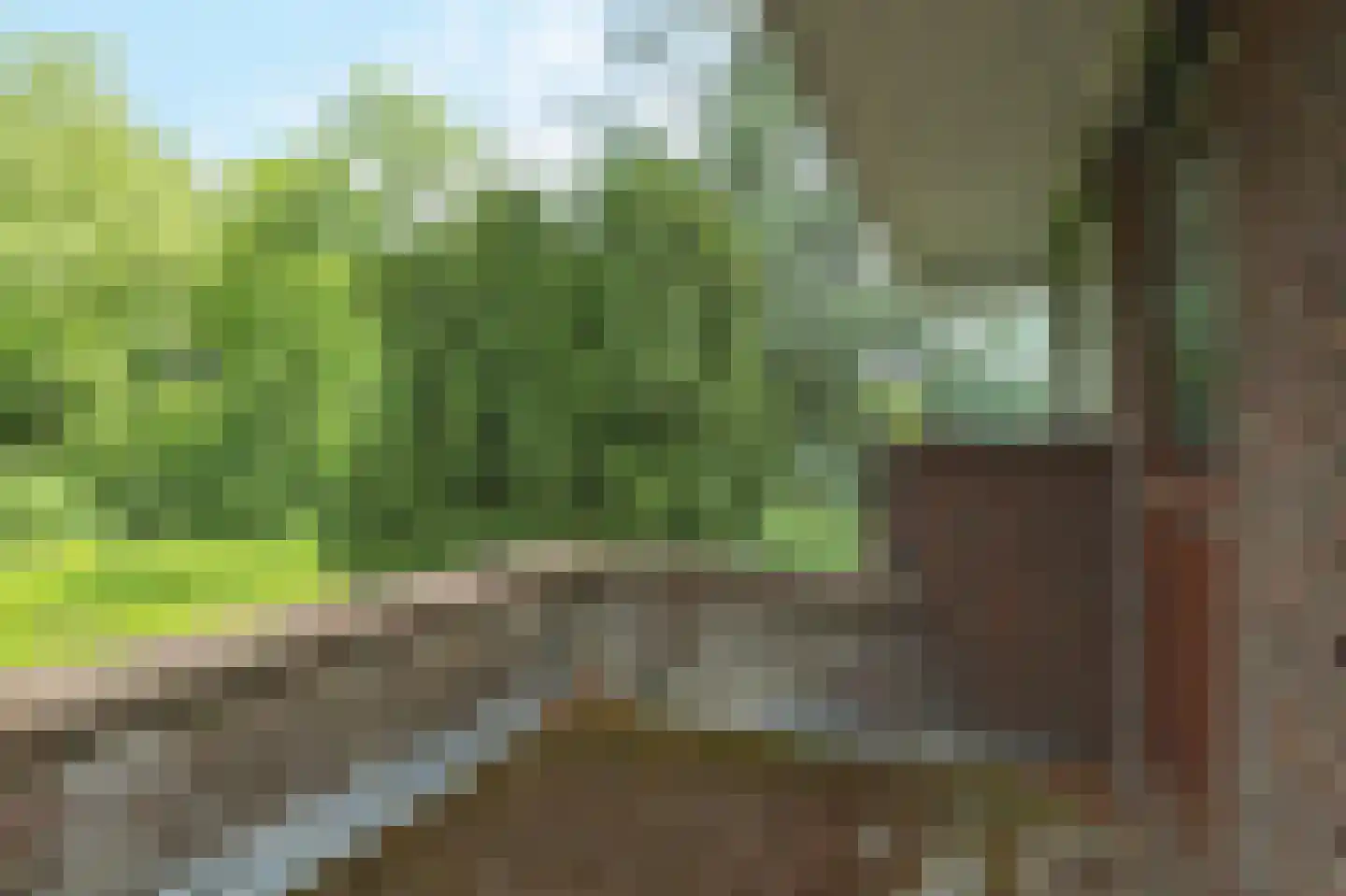 Donckselaan 4 Ridderkerk thumbnail 40