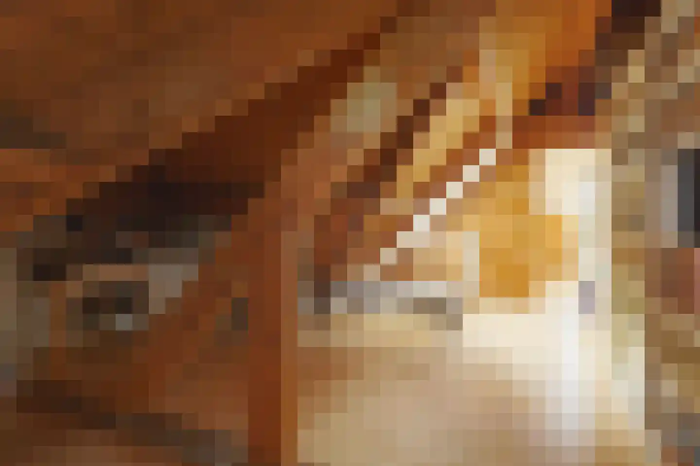 Donckselaan 4 Ridderkerk thumbnail 42