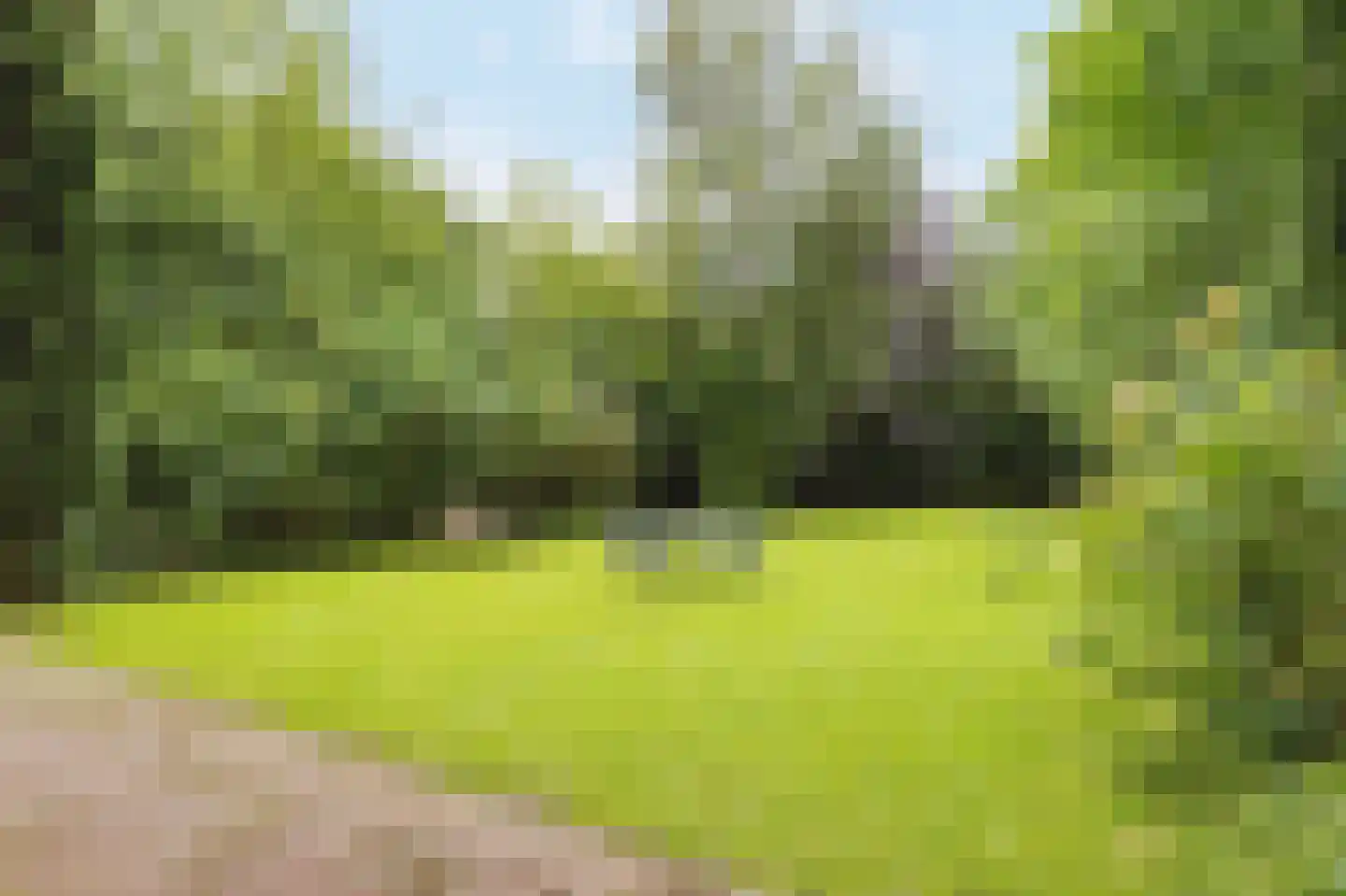 Donckselaan 4 Ridderkerk thumbnail 45