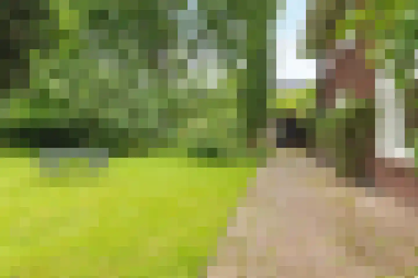 Donckselaan 4 Ridderkerk thumbnail 46