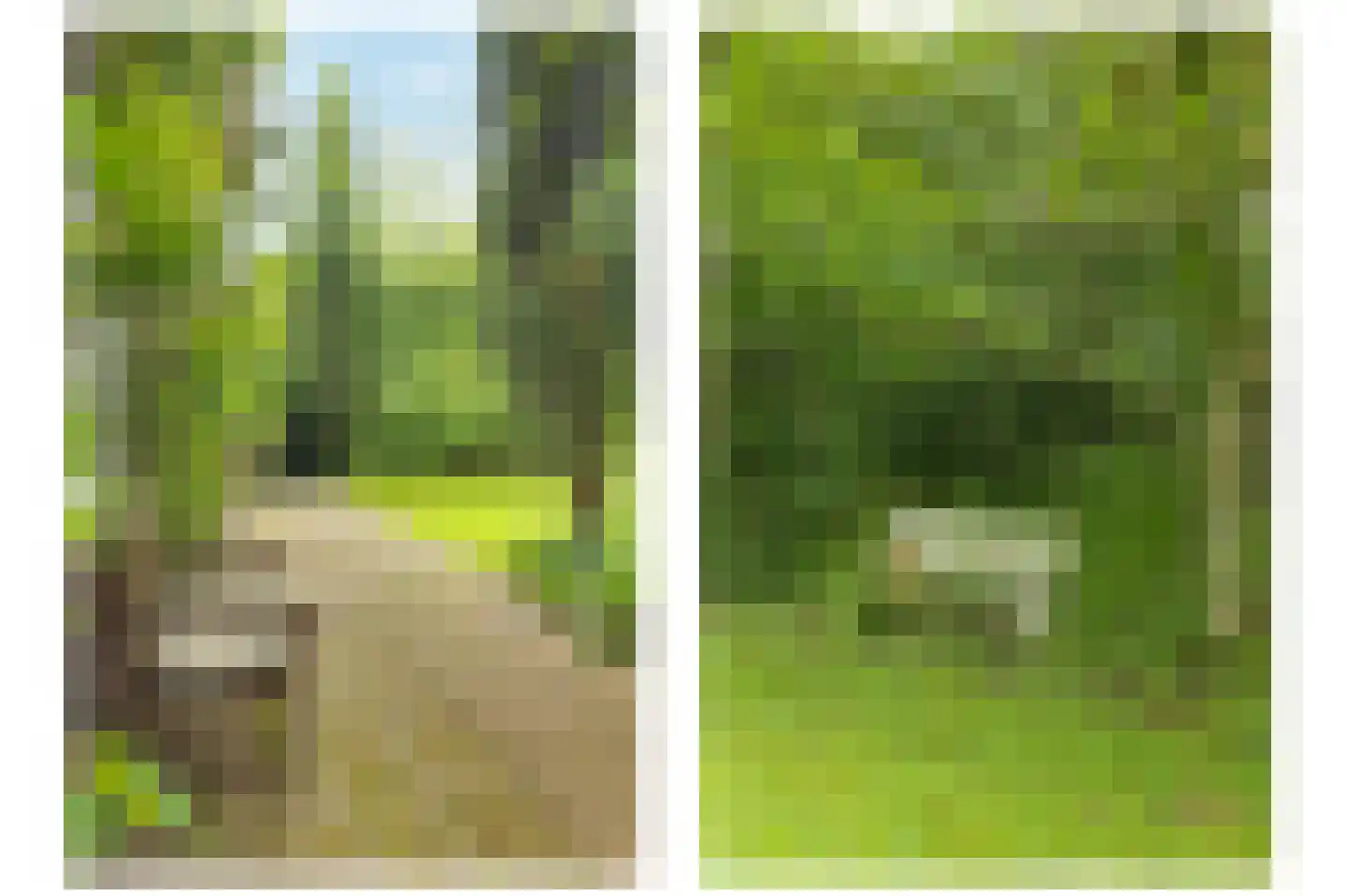 Donckselaan 4 Ridderkerk thumbnail 48