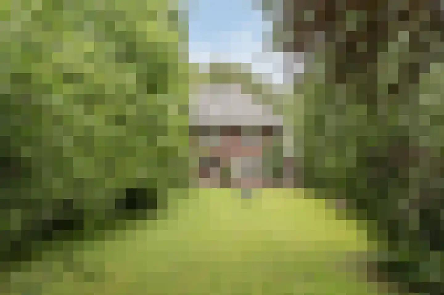 Donckselaan 4 Ridderkerk thumbnail 5