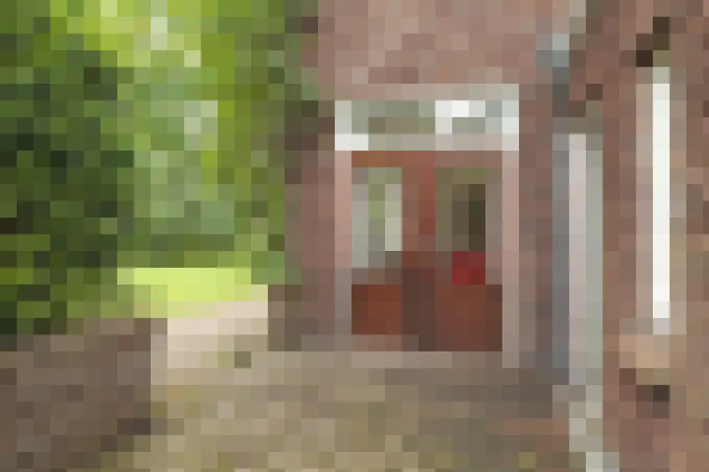 Donckselaan 4 Ridderkerk thumbnail 50