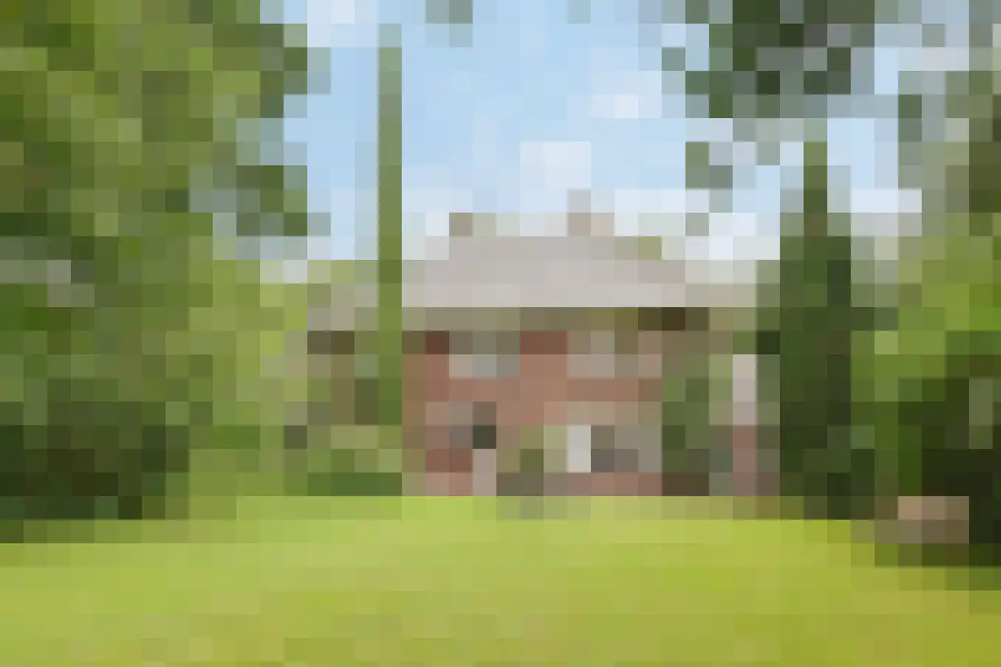 Donckselaan 4 Ridderkerk thumbnail 51