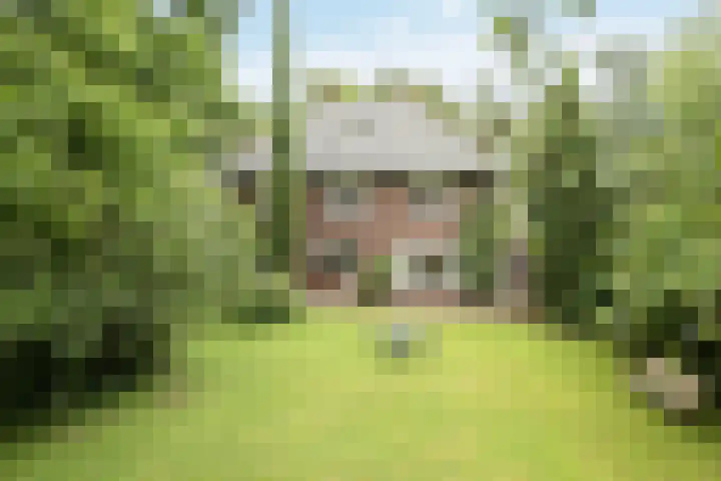 Donckselaan 4 Ridderkerk thumbnail 52
