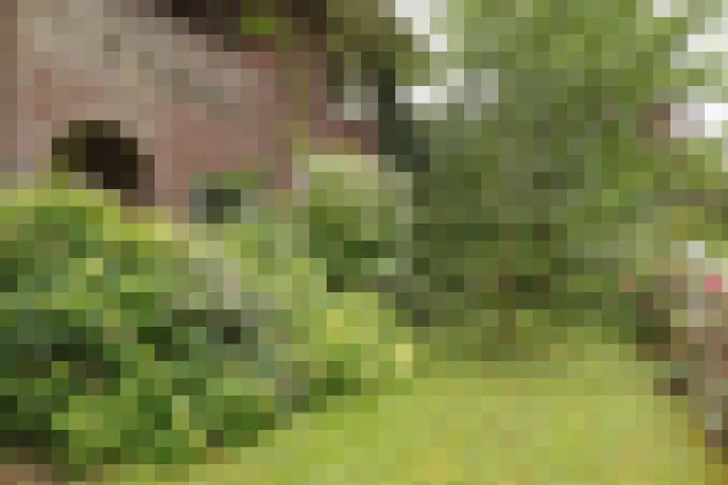 Donckselaan 4 Ridderkerk thumbnail 53