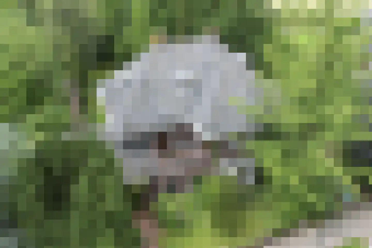 Donckselaan 4 Ridderkerk thumbnail 56
