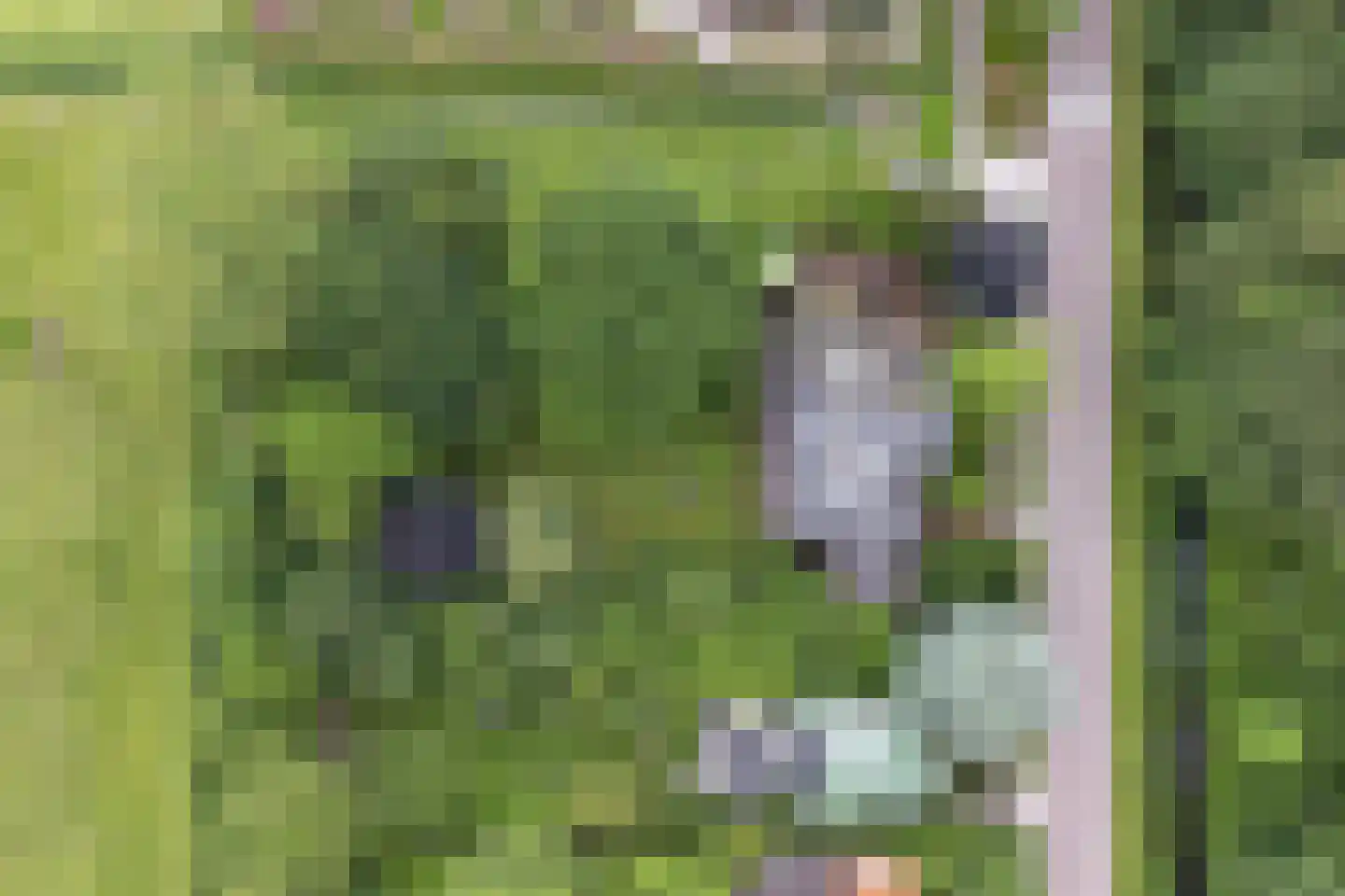 Donckselaan 4 Ridderkerk thumbnail 58