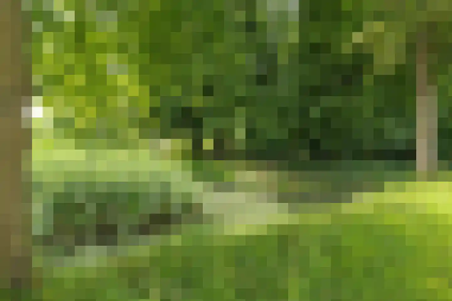 Donckselaan 4 Ridderkerk thumbnail 59