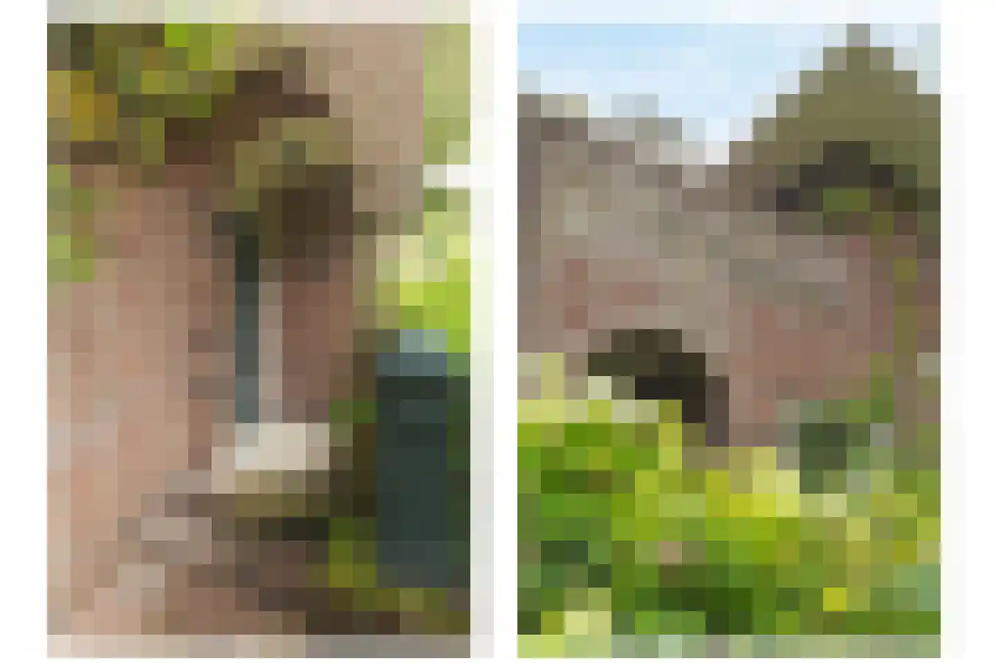 Donckselaan 4 Ridderkerk thumbnail 6