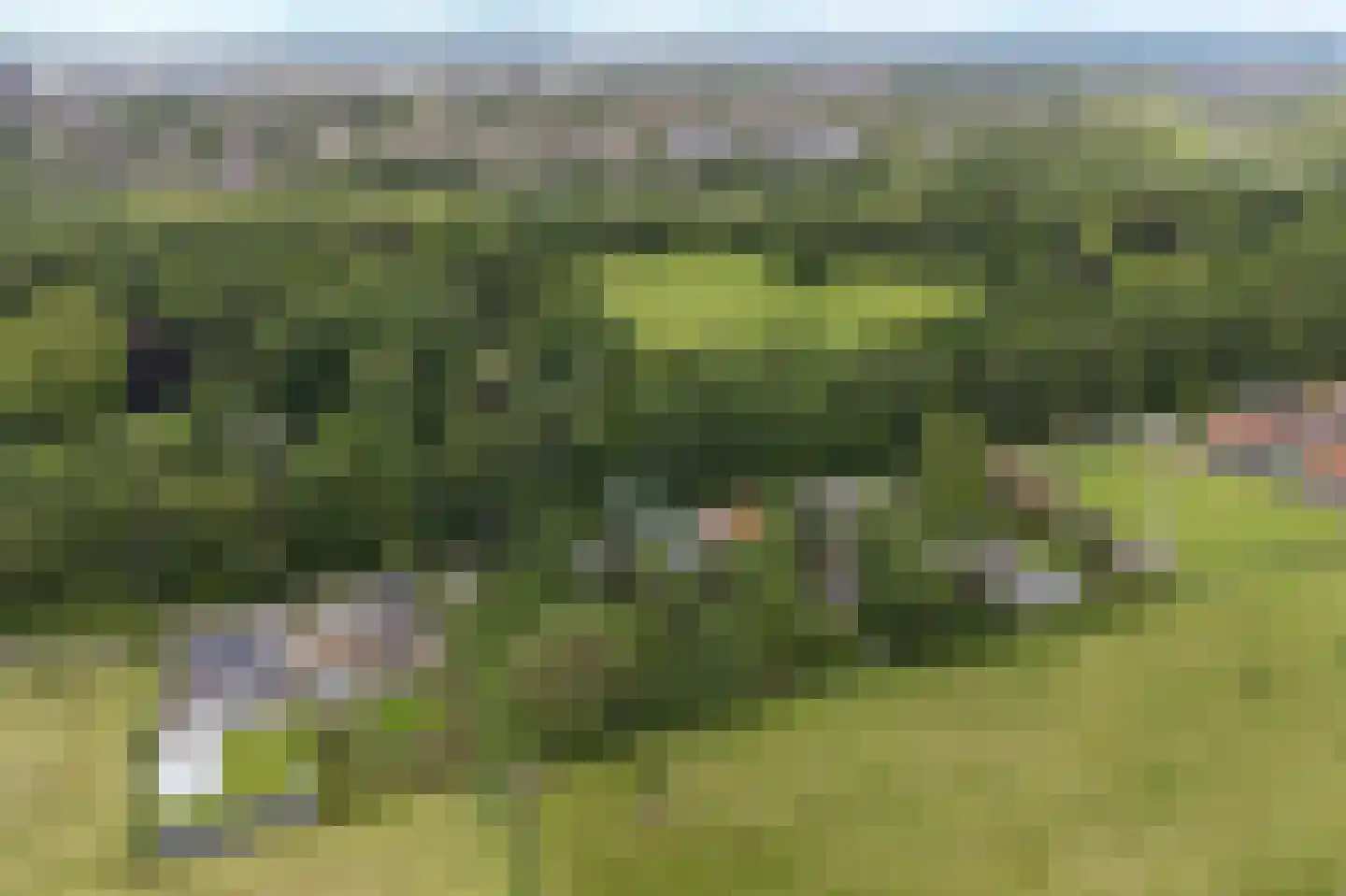 Donckselaan 4 Ridderkerk thumbnail 63