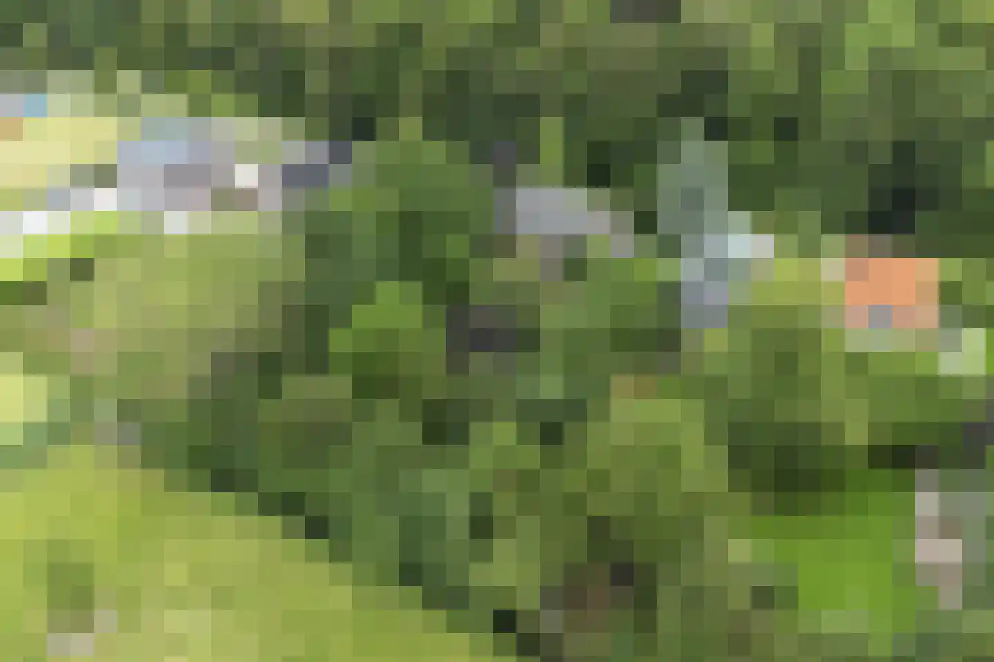 Donckselaan 4 Ridderkerk thumbnail 64
