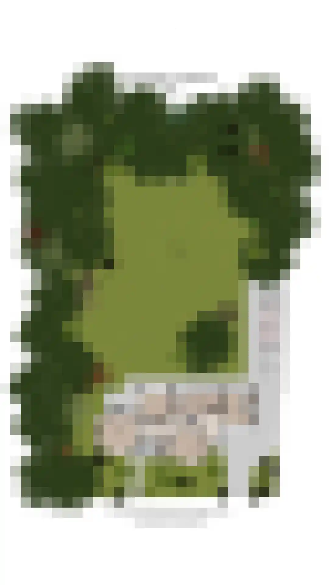 Donckselaan 4 Ridderkerk thumbnail 65
