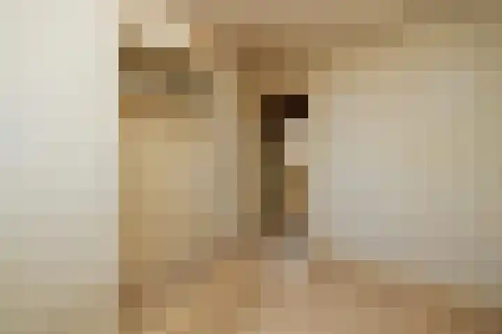 Doncksestraat 29 Ridderkerk thumbnail 16