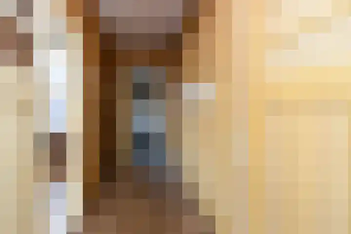Doncksestraat 29 Ridderkerk thumbnail 18