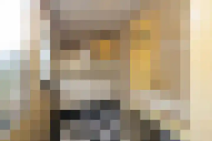 Doncksestraat 29 Ridderkerk thumbnail 19