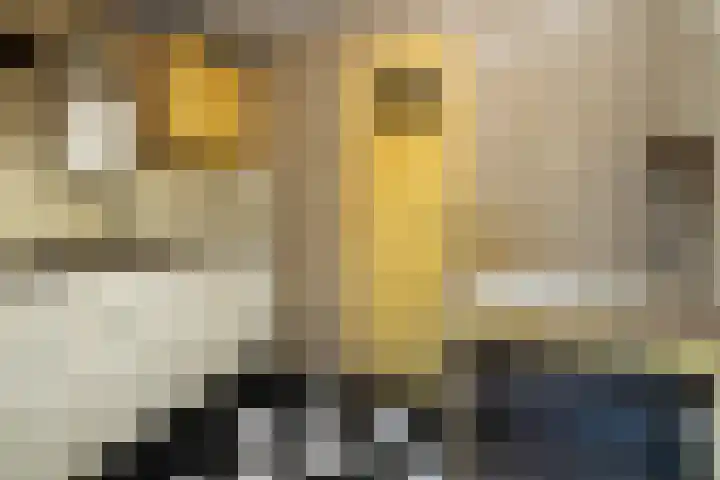 Doncksestraat 29 Ridderkerk thumbnail 20
