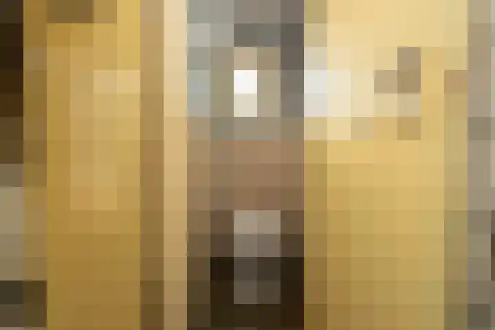 Doncksestraat 29 Ridderkerk thumbnail 21