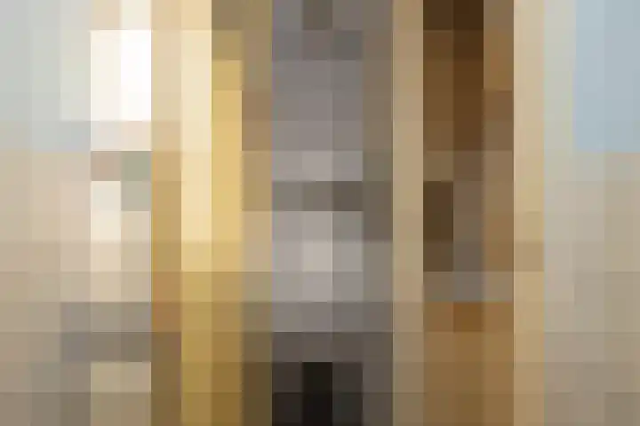 Doncksestraat 29 Ridderkerk thumbnail 22