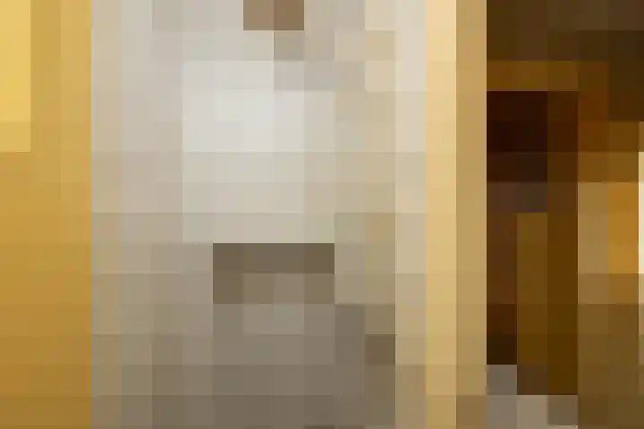 Doncksestraat 29 Ridderkerk thumbnail 23