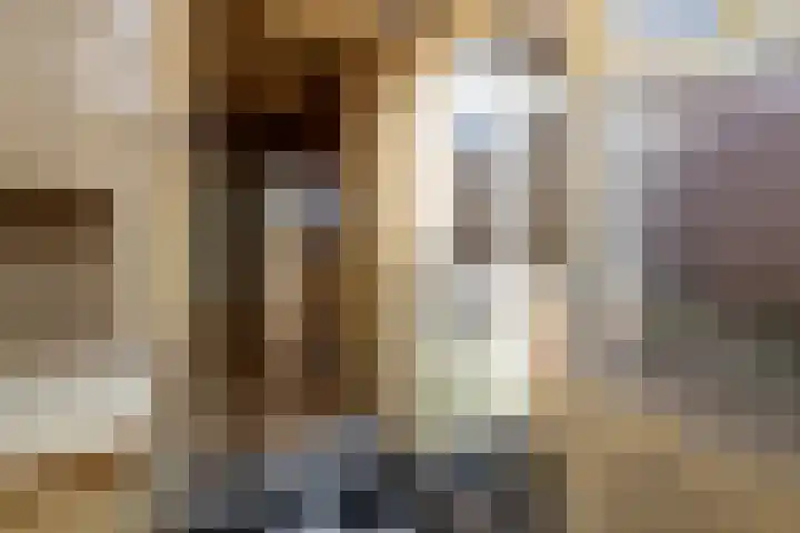 Doncksestraat 29 Ridderkerk thumbnail 25