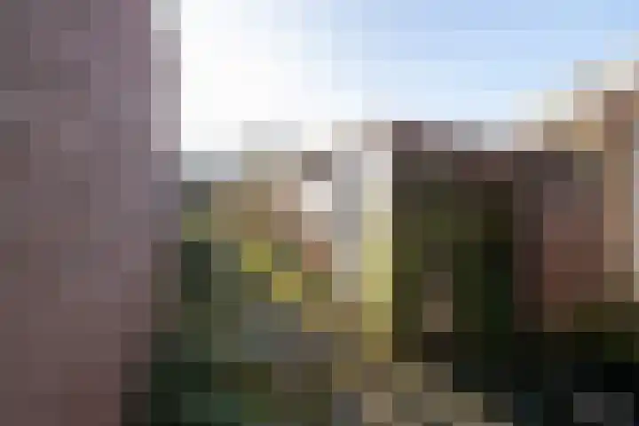 Doncksestraat 29 Ridderkerk thumbnail 36